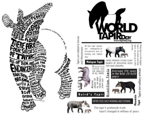 Photo from World Tapir Day