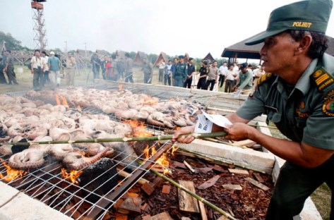 confiscated-pangolins-malaysia-91313