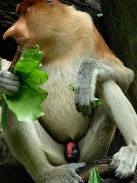 Photo by Helene Blanchette