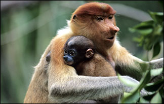 Photo by omgtoptens.com