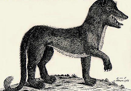 Photo from Wikipedia