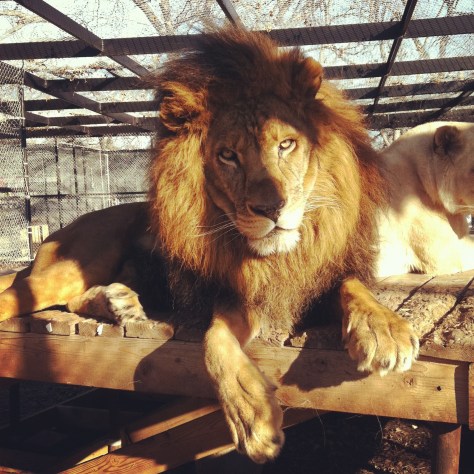 Khan and Sheila, Photo by me