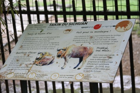 Photo by me at Le Menagerié