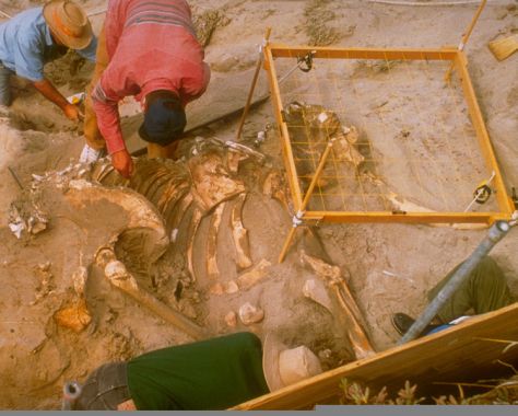 Photo from Wikipedia