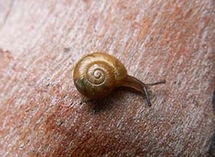 Photo from Daily Mail