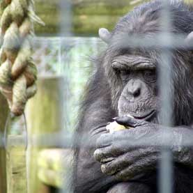 Photo from timparkinson on Flickr