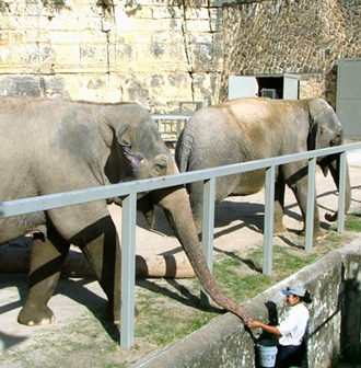 This photo is from the San Antonio Zoo, the ONLY U.S. Zoo to make it to the list of top 10 worst zoos in the world.