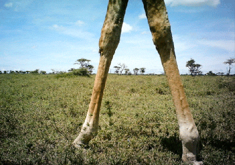 05-Snapshot-originals-4-Slide79