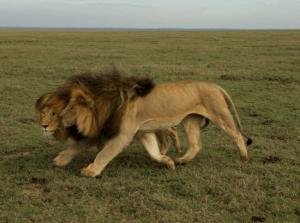 Screen Shot 2013-08-10 at 10.43.13 AM