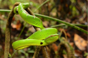 Photo by an intern at the OTPP