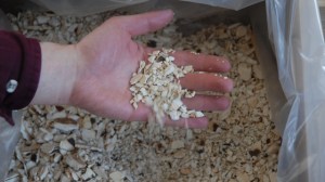 The ivory after being crushed