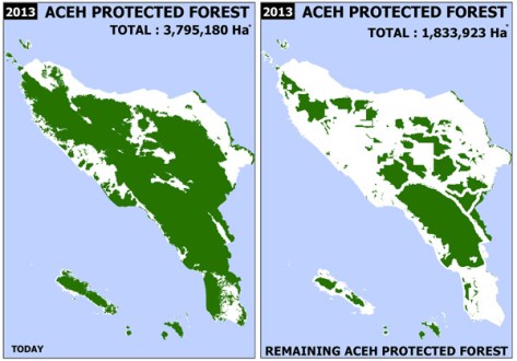 A new plan to open the forest to mining threatens the ecosystem