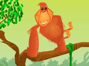 1069895_10151723017974519_949494353_n