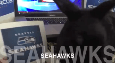 Photo from USAtoday.com