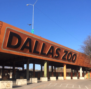 Dallas Zoo, photo by me