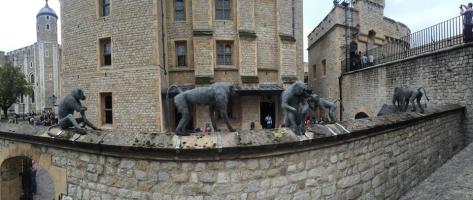 10387624_10152389259281194_5312700901340433311_n