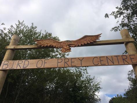 10612629_10152367220601194_7656579032504571235_n