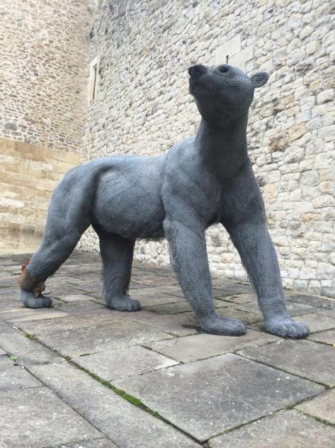 10653861_10152389259126194_1814306661039053481_n