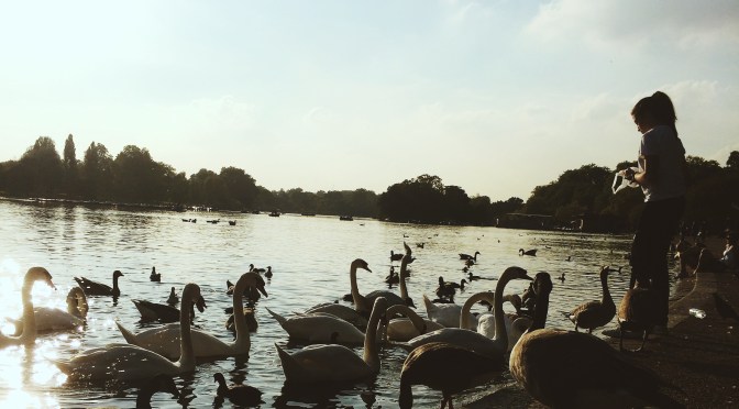 Don’t feed the ducks!