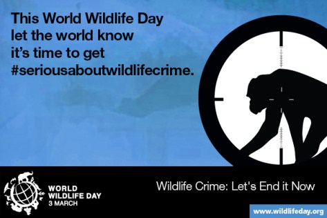 WWD_SM06_Chimpanzee_EN