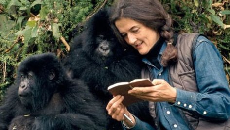 dian-fossey-480.jpg