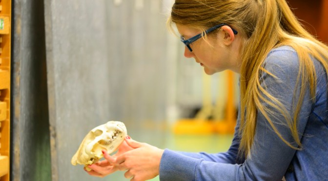 Artist turned Curiosity Correspondent