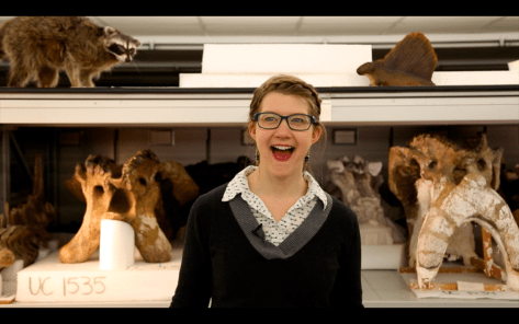 emilysoonanddimetrodon