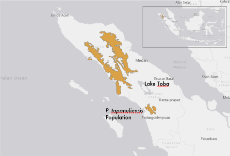 Screen Shot 2017-11-02 at 5.40.37 PM