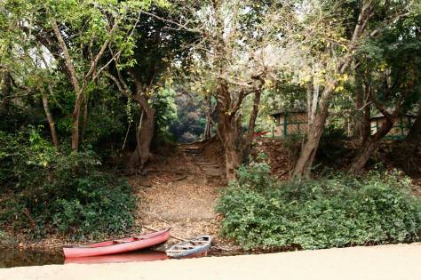 18491518_10154644374916194_762355350800575508_o