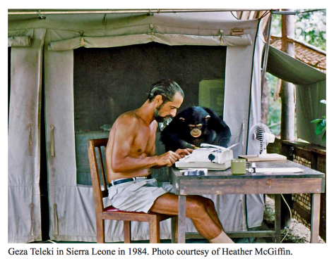 Screen Shot 2017-12-22 at 6.06.42 PM.png